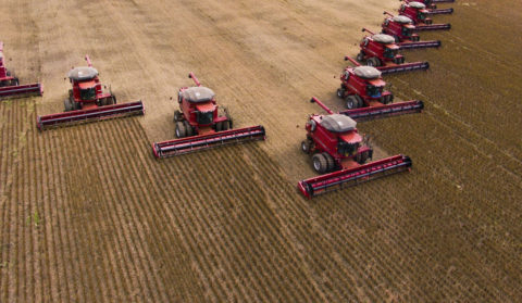 Efeitos subcutâneos da retaliação chinesa em produtos agroalimentares dos EUA