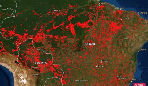 Natureza, meio ambiente e antiambiente: uma síntese das relações Brasil-EUA