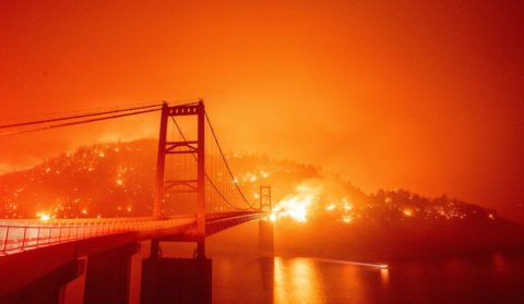 Causas dos incêndios na Costa Oeste dos EUA: estaria Trump certo desta vez?