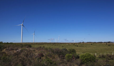 O que esperar das relações Brasil-EUA na área de energia após as eleições? (IV)