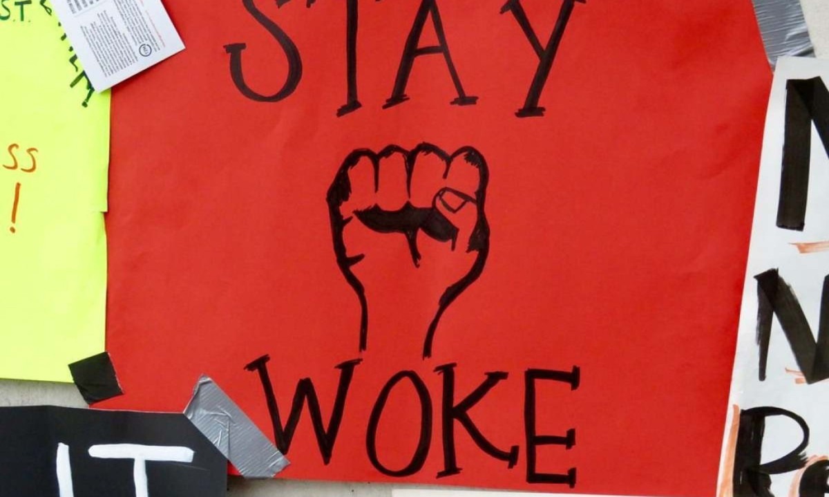 Diligente ou doutrinado? O preço de ser ‘woke’ 