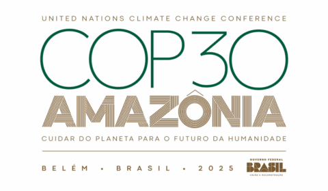 Freando as ações climáticas: o papel dos grupos negacionistas nas conferências da ONU