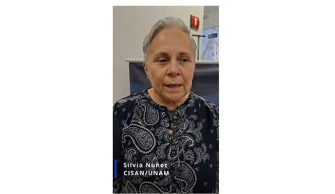 Encontro Anual INCT-INEU 2025: Silvia Nunez