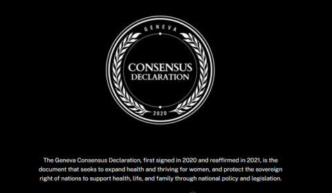 Consenso de Genebra e a consolidação de redes conservadoras transnacionais 